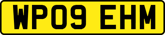 WP09EHM