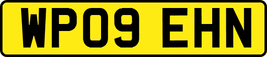 WP09EHN