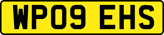 WP09EHS