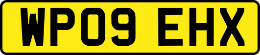 WP09EHX
