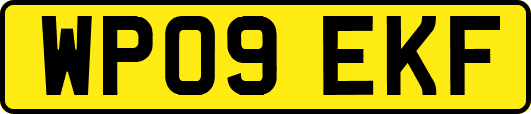 WP09EKF