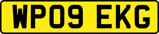 WP09EKG