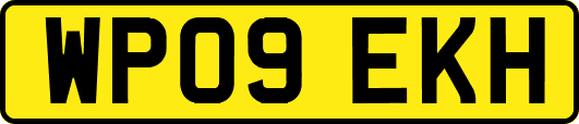 WP09EKH