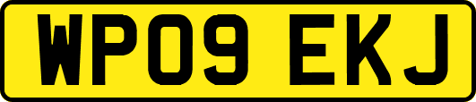 WP09EKJ