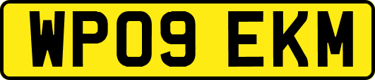 WP09EKM