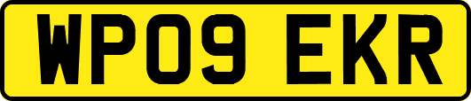 WP09EKR