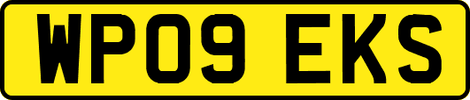 WP09EKS