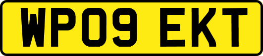 WP09EKT