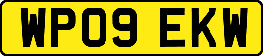 WP09EKW