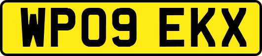 WP09EKX
