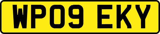 WP09EKY