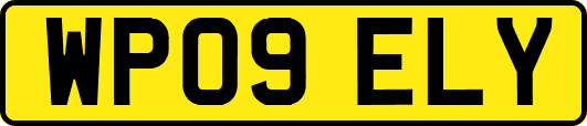 WP09ELY