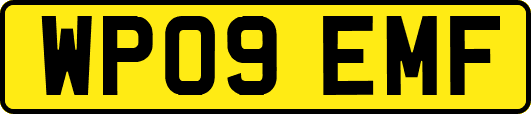WP09EMF