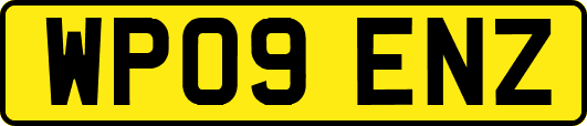 WP09ENZ