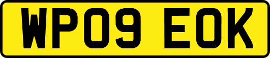 WP09EOK