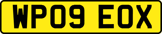 WP09EOX