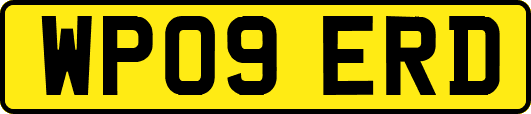 WP09ERD