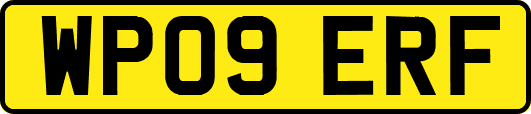 WP09ERF