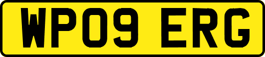 WP09ERG