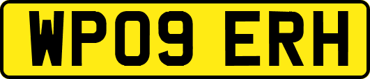 WP09ERH
