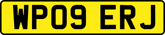 WP09ERJ