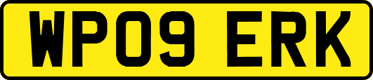 WP09ERK
