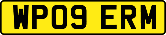 WP09ERM