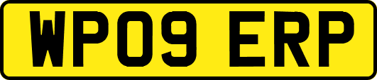 WP09ERP