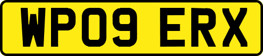 WP09ERX