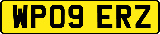 WP09ERZ