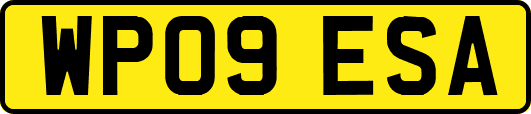 WP09ESA