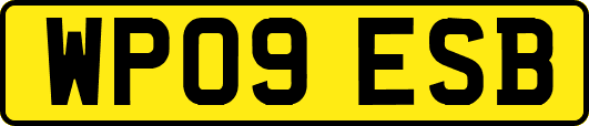 WP09ESB