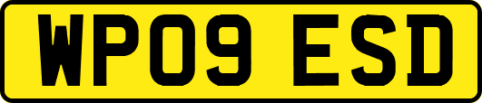 WP09ESD