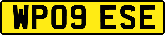 WP09ESE