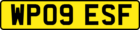 WP09ESF