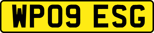 WP09ESG