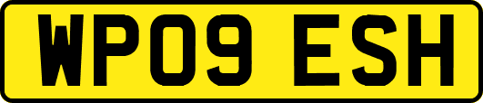WP09ESH