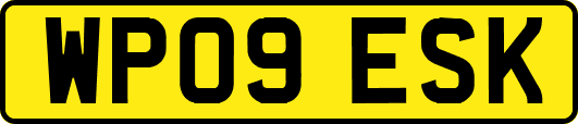 WP09ESK