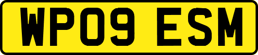 WP09ESM