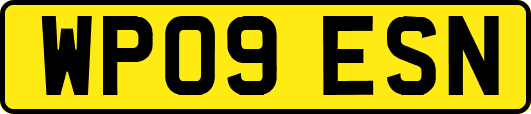 WP09ESN