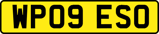WP09ESO
