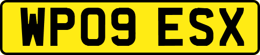 WP09ESX