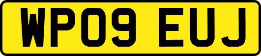 WP09EUJ
