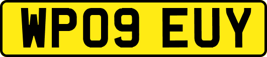 WP09EUY