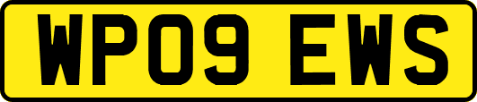 WP09EWS