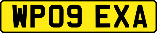 WP09EXA