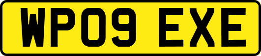 WP09EXE