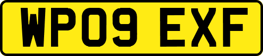 WP09EXF