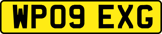 WP09EXG