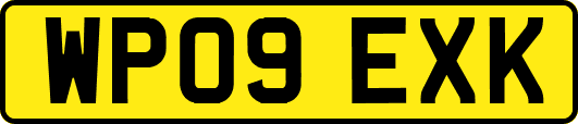 WP09EXK